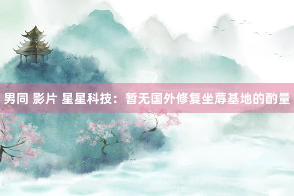 男同 影片 星星科技：暂无国外修复坐蓐基地的酌量