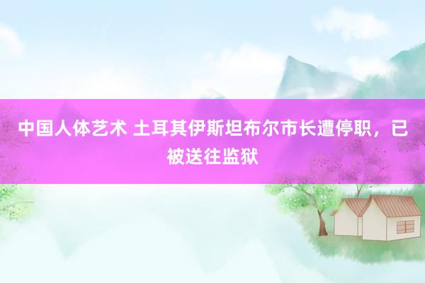 中国人体艺术 土耳其伊斯坦布尔市长遭停职，已被送往监狱