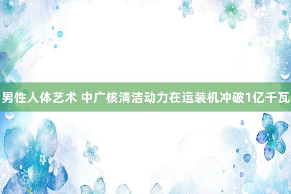 男性人体艺术 中广核清洁动力在运装机冲破1亿千瓦