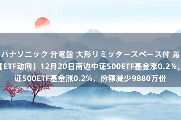 パナソニック 分電盤 大形リミッタースペース付 露出・半埋込両用形 【ETF动向】12月20日南边中证500ETF基金涨0.2%，份额减少9880万份