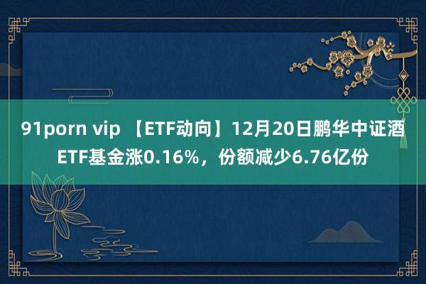 91porn vip 【ETF动向】12月20日鹏华中证酒ETF基金涨0.16%，份额减少6.76亿份