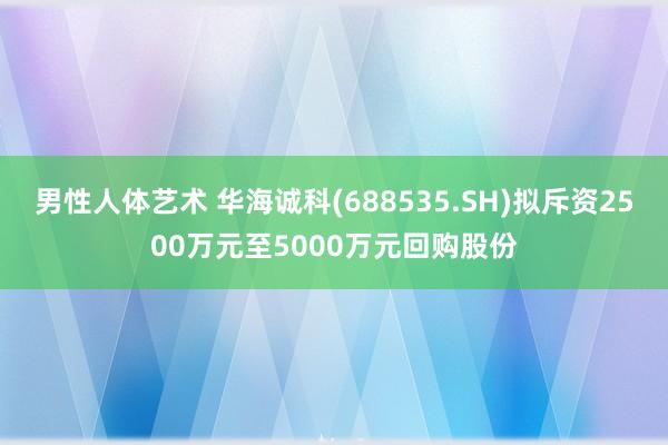 男性人体艺术 华海诚科(688535.SH)拟斥资2500万元至5000万元回购股份