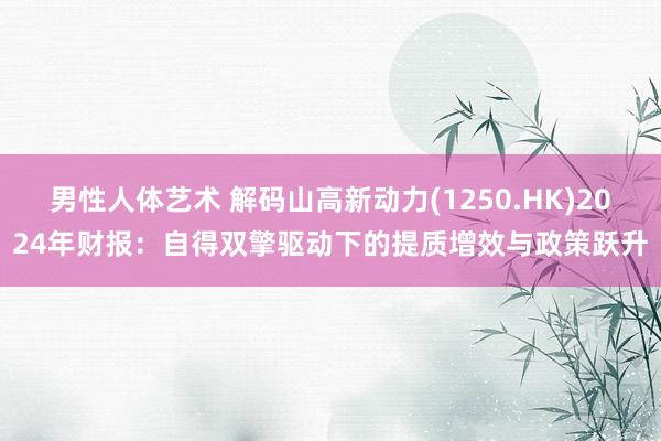 男性人体艺术 解码山高新动力(1250.HK)2024年财报：自得双擎驱动下的提质增效与政策跃升