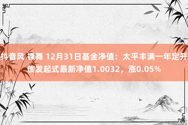 抖音风 裸舞 12月31日基金净值：太平丰满一年定开债发起式最新净值1.0032，涨0.05%
