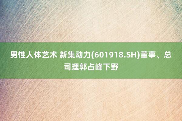 男性人体艺术 新集动力(601918.SH)董事、总司理郭占峰下野