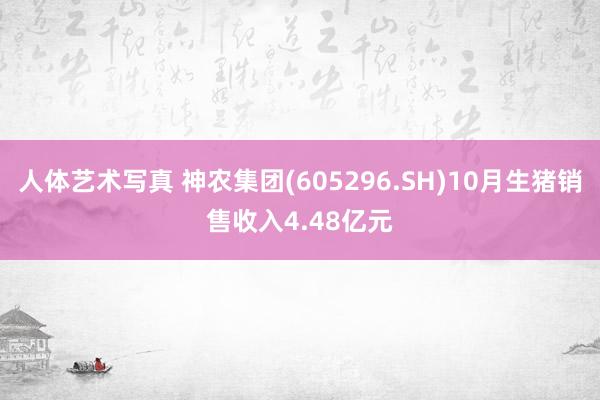 人体艺术写真 神农集团(605296.SH)10月生猪销售收入4.48亿元