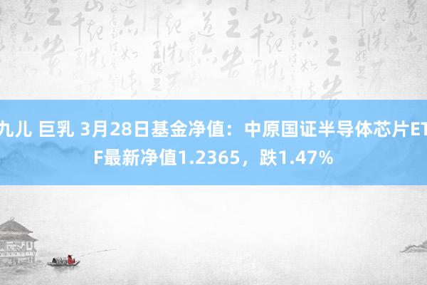 九儿 巨乳 3月28日基金净值：中原国证半导体芯片ETF最新净值1.2365，跌1.47%
