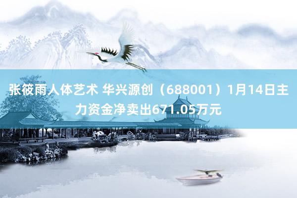 张筱雨人体艺术 华兴源创（688001）1月14日主力资金净卖出671.05万元