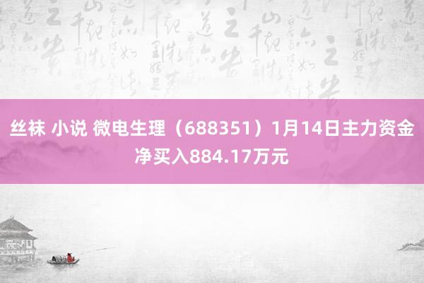 丝袜 小说 微电生理（688351）1月14日主力资金净买入884.17万元