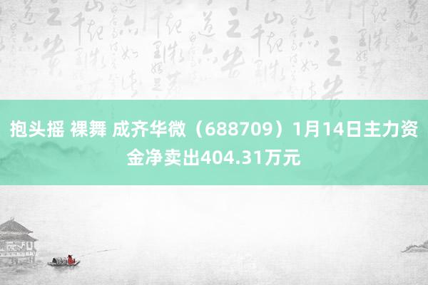 抱头摇 裸舞 成齐华微（688709）1月14日主力资金净卖出404.31万元