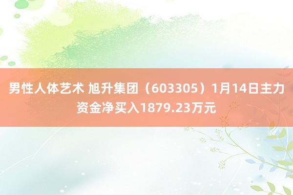 男性人体艺术 旭升集团（603305）1月14日主力资金净买入1879.23万元