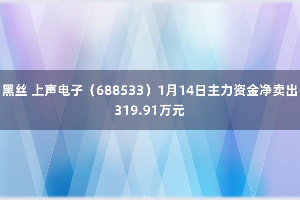 黑丝 上声电子（688533）1月14日主力资金净卖出319.91万元