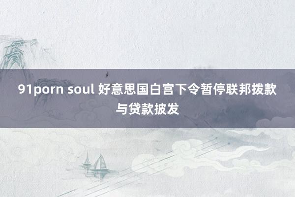 91porn soul 好意思国白宫下令暂停联邦拨款与贷款披发