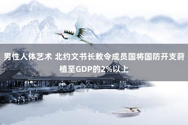 男性人体艺术 北约文书长敕令成员国将国防开支莳植至GDP的2%以上