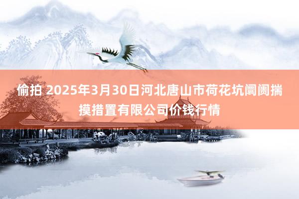 偷拍 2025年3月30日河北唐山市荷花坑阛阓揣摸措置有限公司价钱行情