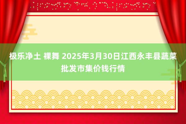 极乐净土 裸舞 2025年3月30日江西永丰县蔬菜批发市集价钱行情