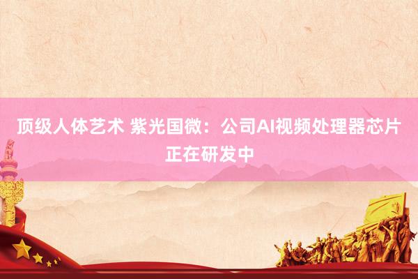 顶级人体艺术 紫光国微：公司AI视频处理器芯片正在研发中