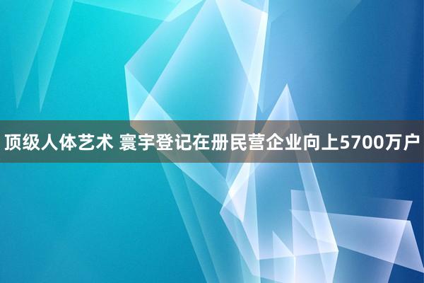 顶级人体艺术 寰宇登记在册民营企业向上5700万户