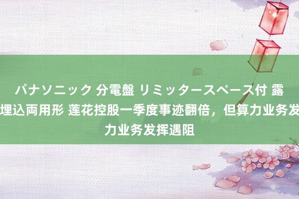 パナソニック 分電盤 リミッタースペース付 露出・半埋込両用形 莲花控股一季度事迹翻倍，但算力业务发挥遇阻