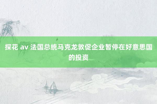 探花 av 法国总统马克龙敦促企业暂停在好意思国的投资