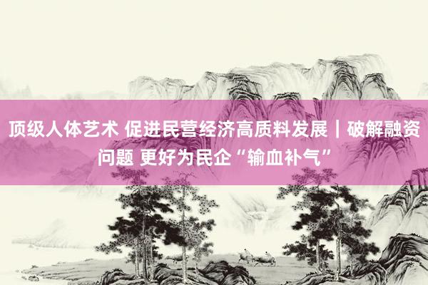 顶级人体艺术 促进民营经济高质料发展｜破解融资问题 更好为民企“输血补气”
