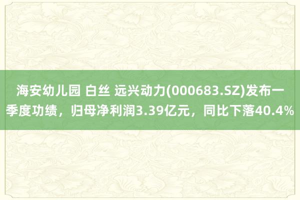 海安幼儿园 白丝 远兴动力(000683.SZ)发布一季度功绩，归母净利润3.39亿元，同比下落40.4%