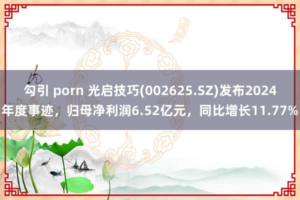 勾引 porn 光启技巧(002625.SZ)发布2024年度事迹，归母净利润6.52亿元，同比增长11.77%