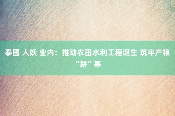 泰國 人妖 业内：推动农田水利工程诞生 筑牢产粮“耕”基